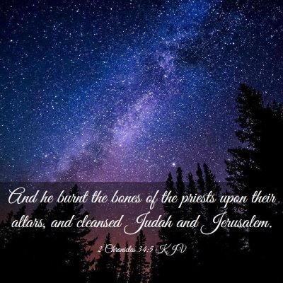 Picture 03 - 2 Chronicles 34:5 KJV - And he burnt the bones of the priests upon their - Bible Verse Picture