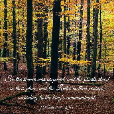 Picture 03 - 2 Chronicles 35:10 KJV - So the service was prepared, and the priests - Bible Verse Picture
