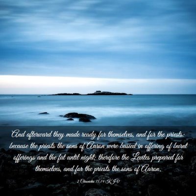 Picture 03 - 2 Chronicles 35:14 KJV - And afterward they made ready for themselves, and - Bible Verse Picture