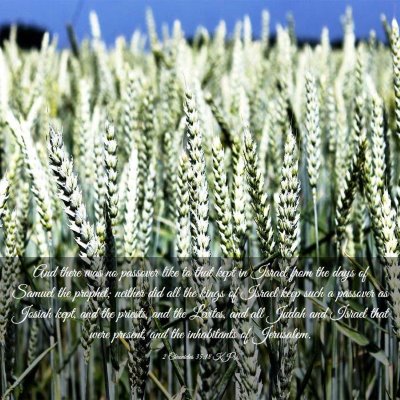 Picture 03 - 2 Chronicles 35:18 KJV - And there was no passover like to that kept in - Bible Verse Picture