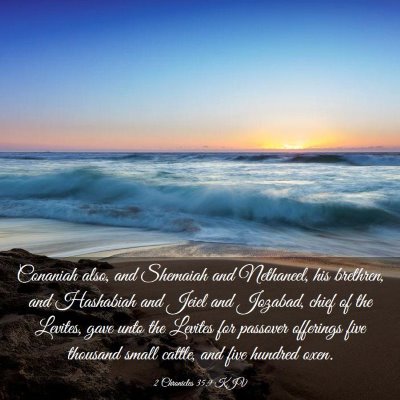 Picture 03 - 2 Chronicles 35:9 KJV - Conaniah also, and Shemaiah and Nethaneel, his - Bible Verse Picture