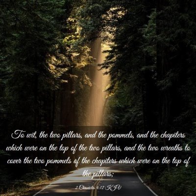 Picture 03 - 2 Chronicles 4:12 KJV - To wit, the two pillars, and the pommels, and the - Bible Verse Picture