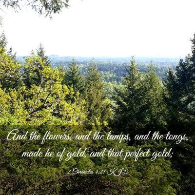 Picture 03 - 2 Chronicles 4:21 KJV - And the flowers, and the lamps, and the tongs, - Bible Verse Picture