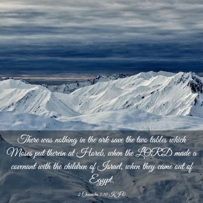 Picture 03 - 2 Chronicles 5:10 KJV - There was nothing in the ark save the two tables - Bible Verse Picture
