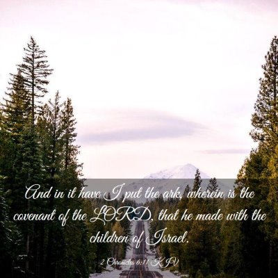 Picture 03 - 2 Chronicles 6:11 KJV - And in it have I put the ark, wherein is the - Bible Verse Picture