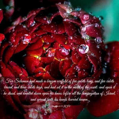 Picture 03 - 2 Chronicles 6:13 KJV - For Solomon had made a brazen scaffold of five - Bible Verse Picture