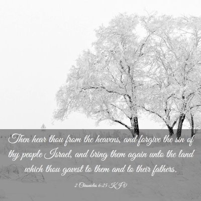 Picture 03 - 2 Chronicles 6:25 KJV - Then hear thou from the heavens, and forgive the - Bible Verse Picture