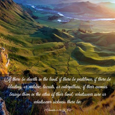 Picture 03 - 2 Chronicles 6:28 KJV - If there be dearth in the land, if there be - Bible Verse Picture