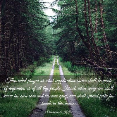 Picture 03 - 2 Chronicles 6:29 KJV - Then what prayer or what supplication soever - Bible Verse Picture