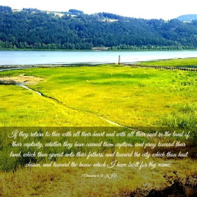 Picture 03 - 2 Chronicles 6:38 KJV - If they return to thee with all their heart and - Bible Verse Picture