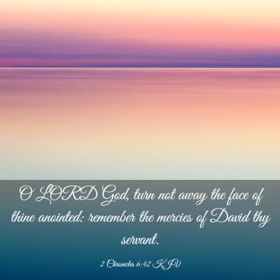 Picture 03 - 2 Chronicles 6:42 KJV - O LORD God, turn not away the face of thine - Bible Verse Picture