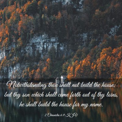 Picture 03 - 2 Chronicles 6:9 KJV - Notwithstanding thou shalt not build the house; - Bible Verse Picture