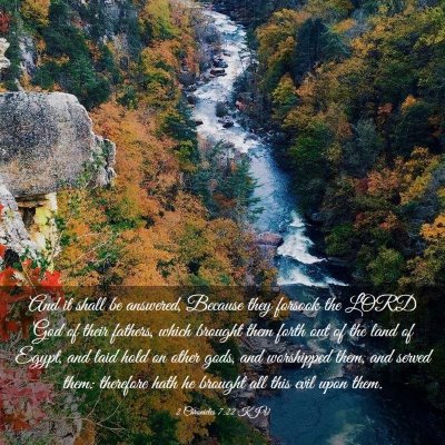 Picture 03 - 2 Chronicles 7:22 KJV - And it shall be answered, Because they forsook - Bible Verse Picture