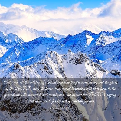 Picture 03 - 2 Chronicles 7:3 KJV - And when all the children of Israel saw how the - Bible Verse Picture