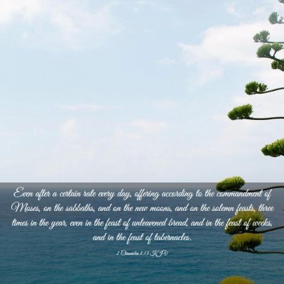 Picture 03 - 2 Chronicles 8:13 KJV - Even after a certain rate every day, offering - Bible Verse Picture