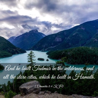 Picture 03 - 2 Chronicles 8:4 KJV - And he built Tadmor in the wilderness, and all - Bible Verse Picture