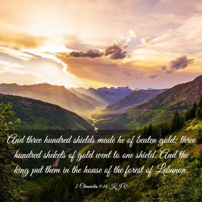 Picture 03 - 2 Chronicles 9:16 KJV - And three hundred shields made he of beaten gold: - Bible Verse Picture
