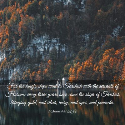 Picture 03 - 2 Chronicles 9:21 KJV - For the king's ships went to Tarshish with the - Bible Verse Picture
