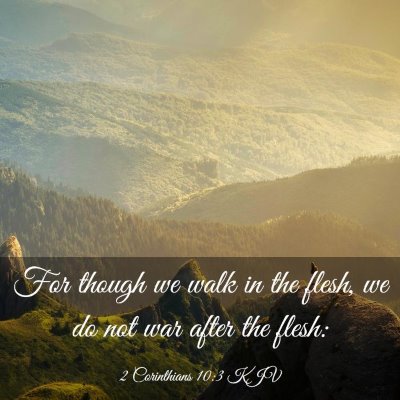 Picture 03 - 2 Corinthians 10:3 KJV - For though we walk in the flesh, we do not war - Bible Verse Picture