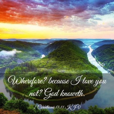 Picture 03 - 2 Corinthians 11:11 KJV - Wherefore? because I love you not? God - Bible Verse Picture