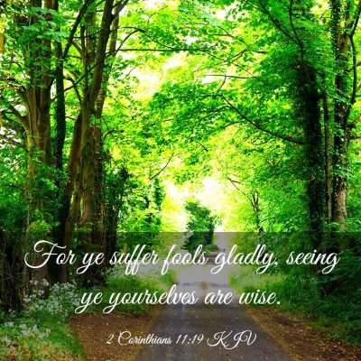 Picture 03 - 2 Corinthians 11:19 KJV - For ye suffer fools gladly, seeing ye yourselves - Bible Verse Picture