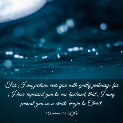 Picture 03 - 2 Corinthians 11:2 KJV - For I am jealous over you with godly jealousy: - Bible Verse Picture