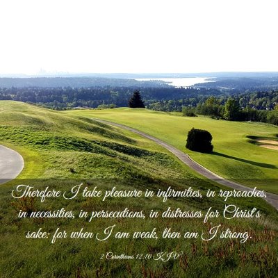 Picture 03 - 2 Corinthians 12:10 KJV - Therefore I take pleasure in infirmities, in - Bible Verse Picture