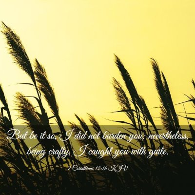 Picture 03 - 2 Corinthians 12:16 KJV - But be it so, I did not burden you: nevertheless, - Bible Verse Picture