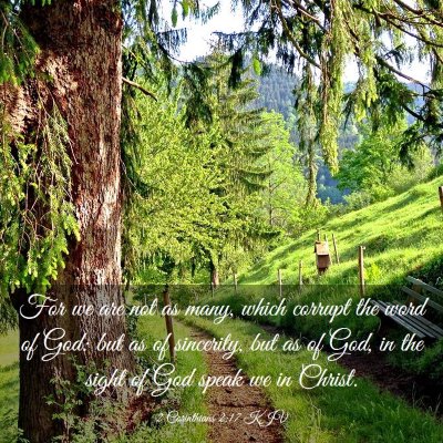 Picture 03 - 2 Corinthians 2:17 KJV - For we are not as many, which corrupt the word of - Bible Verse Picture