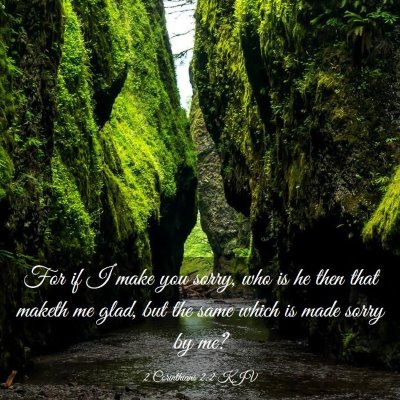 Picture 03 - 2 Corinthians 2:2 KJV - For if I make you sorry, who is he then that - Bible Verse Picture
