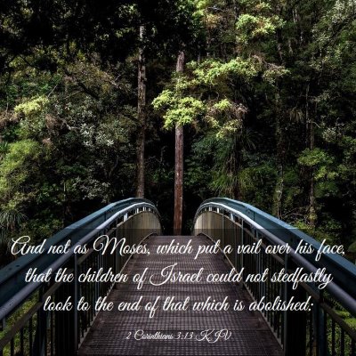 Picture 03 - 2 Corinthians 3:13 KJV - And not as Moses, which put a vail over his face, - Bible Verse Picture