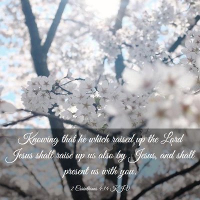 Picture 03 - 2 Corinthians 4:14 KJV - Knowing that he which raised up the Lord Jesus - Bible Verse Picture