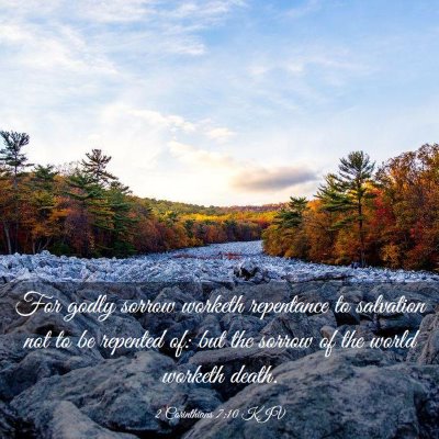 Picture 03 - 2 Corinthians 7:10 KJV - For godly sorrow worketh repentance to salvation - Bible Verse Picture