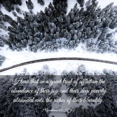 Picture 03 - 2 Corinthians 8:2 KJV - How that in a great trial of affliction the - Bible Verse Picture