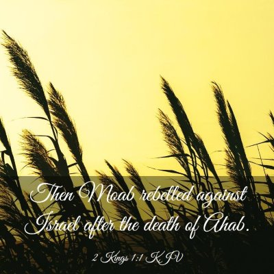 Picture 03 - 2 Kings 1:1 KJV - Then Moab rebelled against Israel after the death - Bible Verse Picture