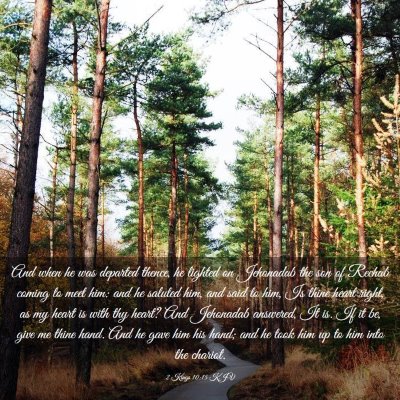 Picture 03 - 2 Kings 10:15 KJV - And when he was departed thence, he lighted on - Bible Verse Picture
