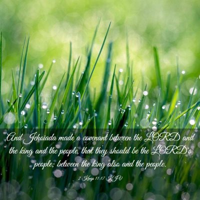 Picture 03 - 2 Kings 11:17 KJV - And Jehoiada made a covenant between the LORD and - Bible Verse Picture