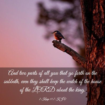 Picture 03 - 2 Kings 11:7 KJV - And two parts of all you that go forth on the - Bible Verse Picture