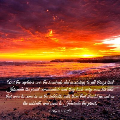 Picture 03 - 2 Kings 11:9 KJV - And the captains over the hundreds did according - Bible Verse Picture