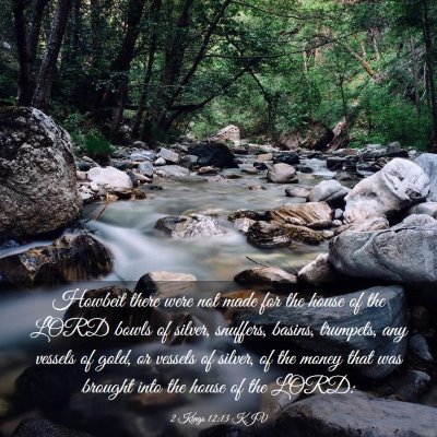 Picture 03 - 2 Kings 12:13 KJV - Howbeit there were not made for the house of the - Bible Verse Picture