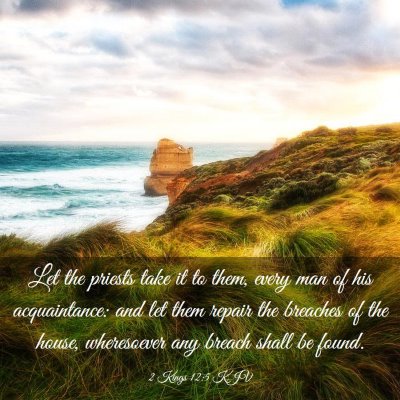 Picture 03 - 2 Kings 12:5 KJV - Let the priests take it to them, every man of his - Bible Verse Picture