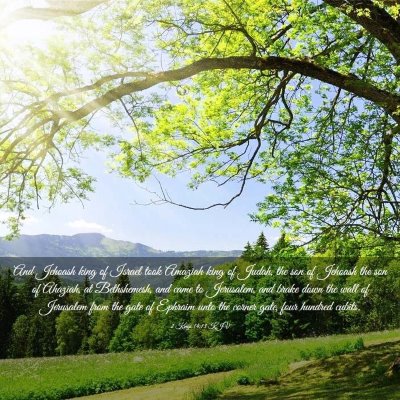 Picture 03 - 2 Kings 14:13 KJV - And Jehoash king of Israel took Amaziah king of - Bible Verse Picture