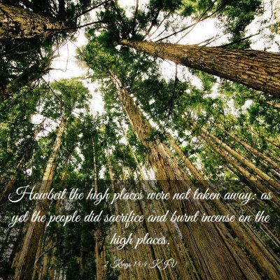 Picture 03 - 2 Kings 14:4 KJV - Howbeit the high places were not taken away: as - Bible Verse Picture
