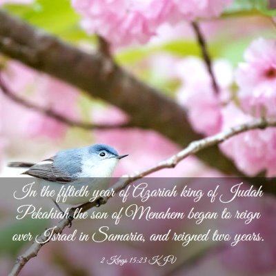 Picture 03 - 2 Kings 15:23 KJV - In the fiftieth year of Azariah king of Judah - Bible Verse Picture