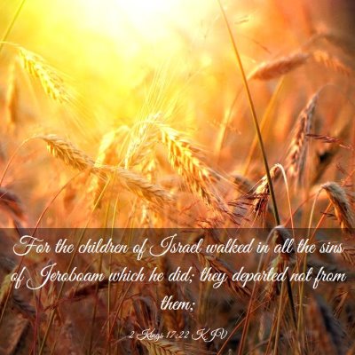 Picture 03 - 2 Kings 17:22 KJV - For the children of Israel walked in all the sins - Bible Verse Picture