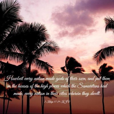 Picture 03 - 2 Kings 17:29 KJV - Howbeit every nation made gods of their own, and - Bible Verse Picture