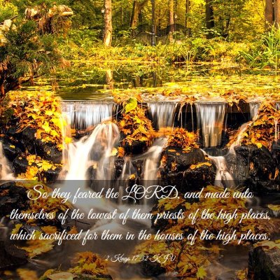 Picture 03 - 2 Kings 17:32 KJV - So they feared the LORD, and made unto themselves - Bible Verse Picture
