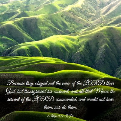 Picture 03 - 2 Kings 18:12 KJV - Because they obeyed not the voice of the LORD - Bible Verse Picture