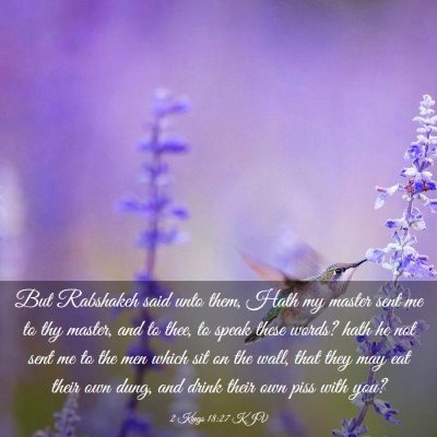 Picture 03 - 2 Kings 18:27 KJV - But Rabshakeh said unto them, Hath my master sent - Bible Verse Picture