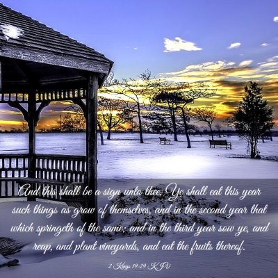 Picture 03 - 2 Kings 19:29 KJV - And this shall be a sign unto thee, Ye shall eat - Bible Verse Picture